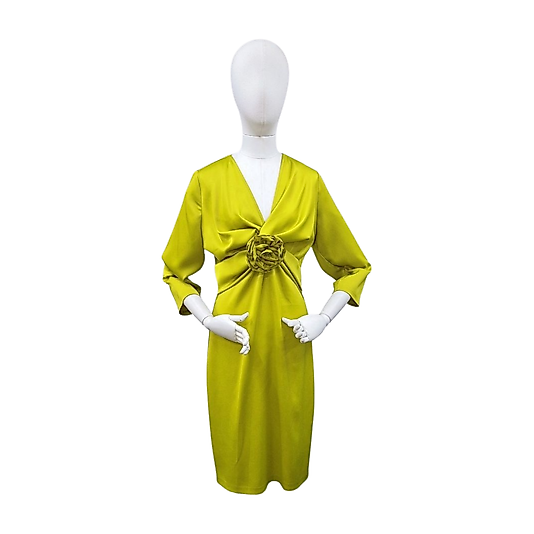 Limon Küfü Saten Elbise